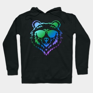 Prism Bear Cool Colors Hoodie